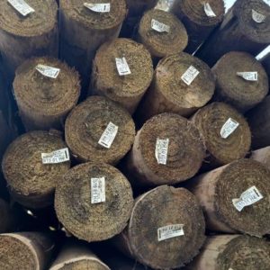 75-100MM T/PINE POLES-70/2.1