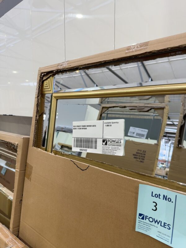 GOLD ORNATE FRAMED MIRROR 4307G 80CM X 172CM RRP$649