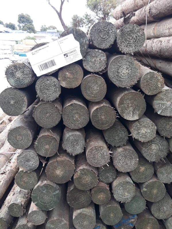 100-125MM CAMBIO TREATED PINE POLES-45/2.4