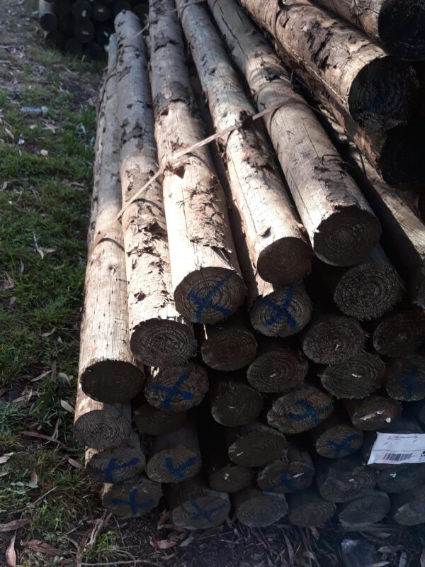 100-125MM CAMBIO TREATED PINE POLES-45/2.4