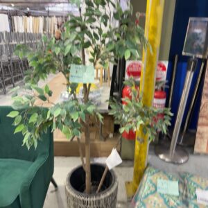 SECOND HAND - TALL ARTIFICIAL PLANT, SOLD AS IS