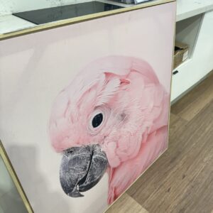 EX STAGING ARTWORK - COCKATOO, SOLD AS IS