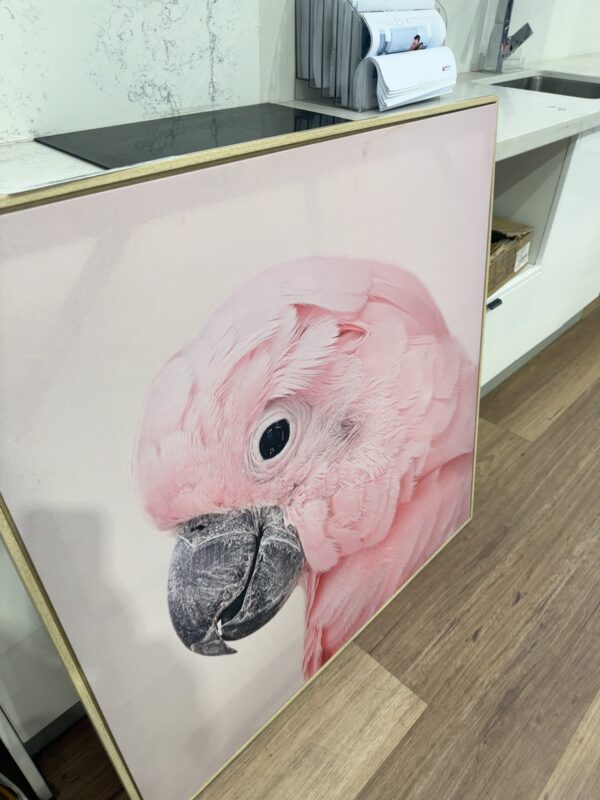 EX STAGING ARTWORK - COCKATOO, SOLD AS IS