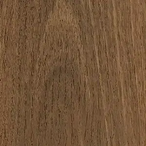 Southern Spotted Gum 835402