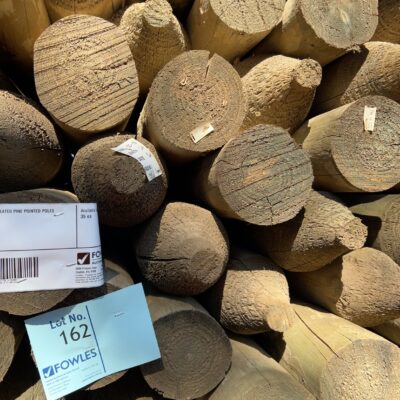 125-150MM TREATED PINE POINTED POLES 35/2.4